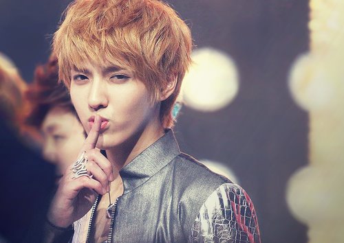 kris2.jpg