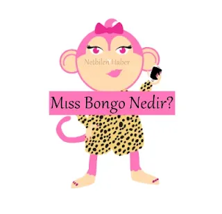 Miss Bongo smsm mesaj ücreti