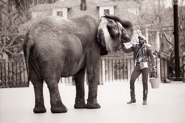 tyke the elephant tyke the elephant