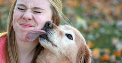 Dog And Cat Saliva Can Cause Deadly Infections In Humans