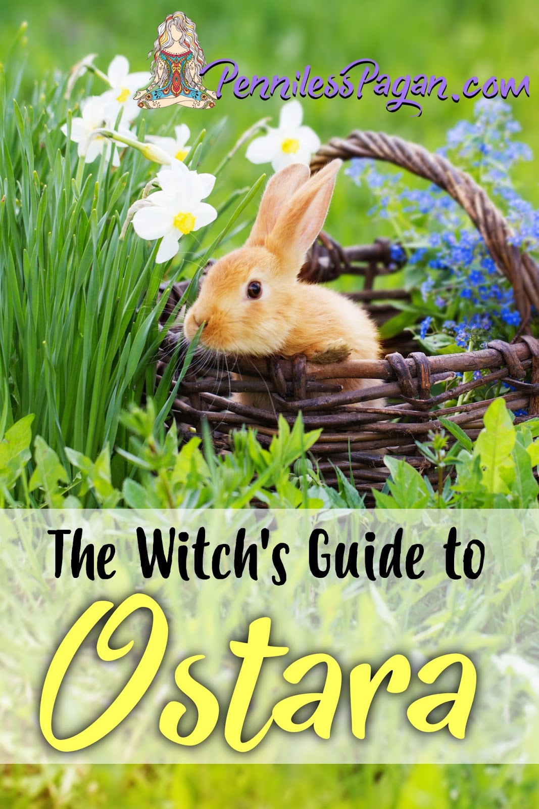 A Witchs Guide to Spring Cleaning
