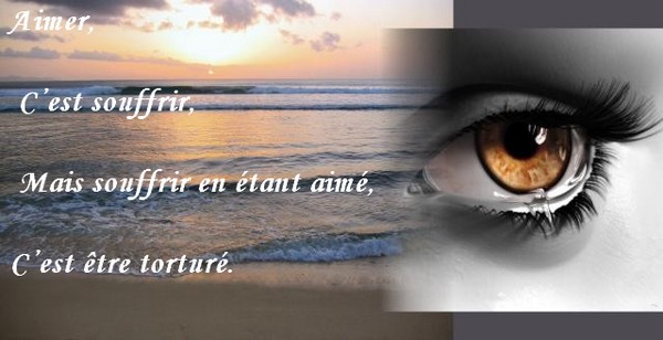 Citations Nouvelles carte avec citation d amour