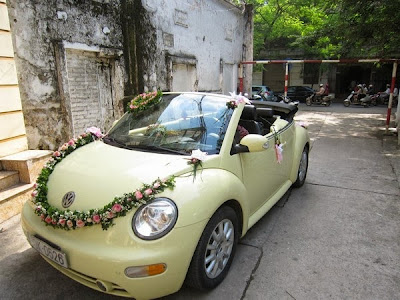 cho thuê xe cô dâu Volkwagen Beetle mui trần tại Hà Nội
