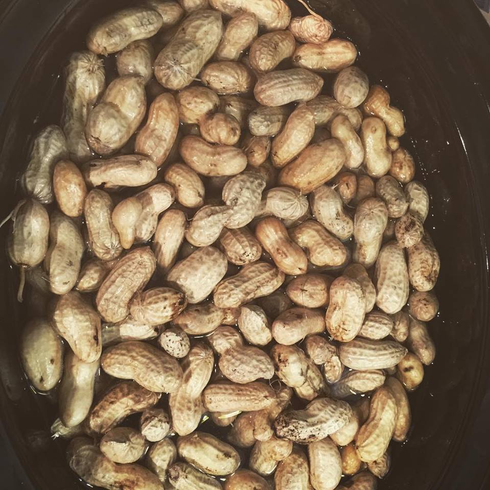 Mississippi Foodie Boiled Peanuts in a Crockpot