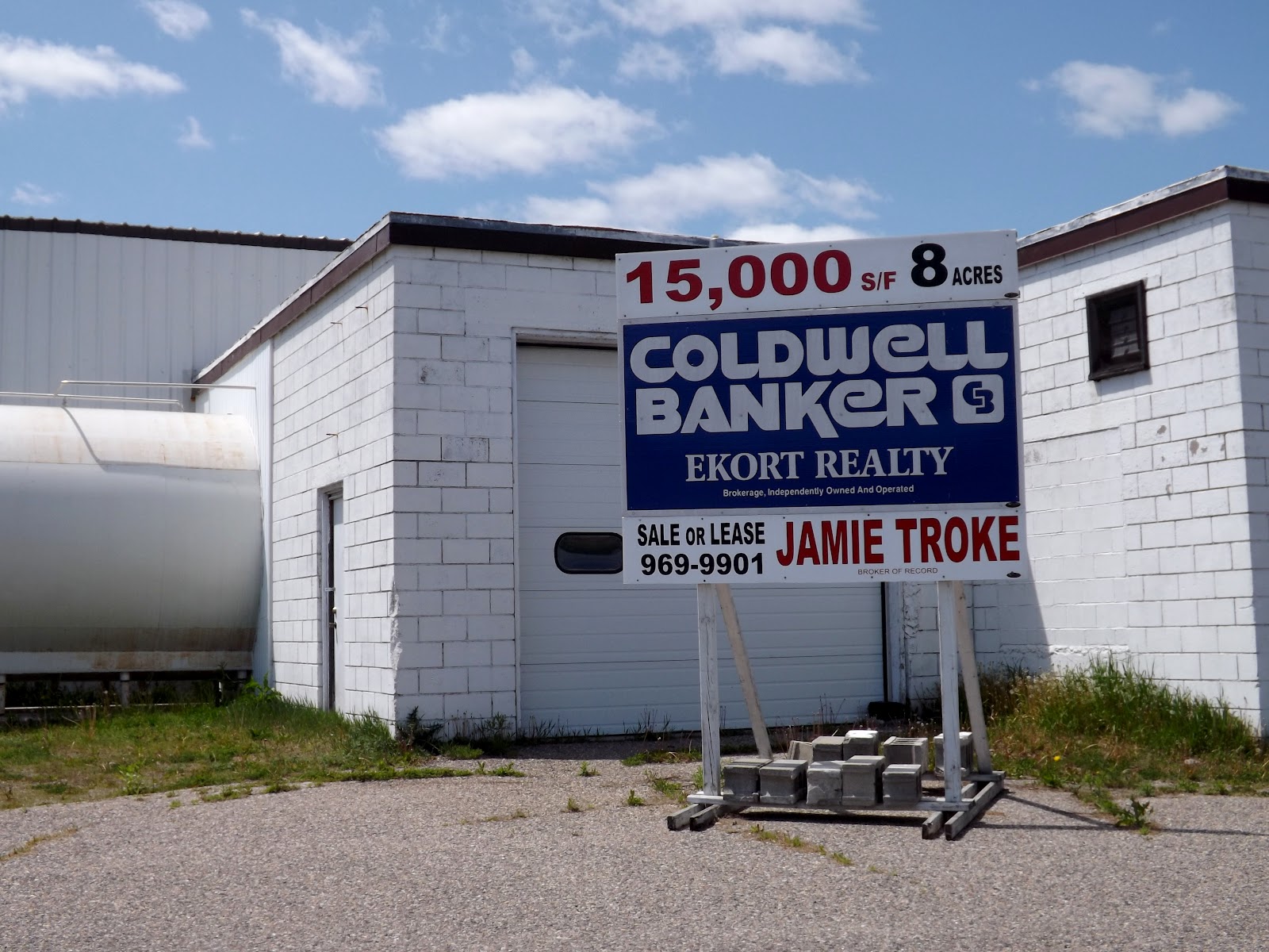 The Middle Aged Woman Who Lived in a Shoe A Plea for Eldorado Cheese