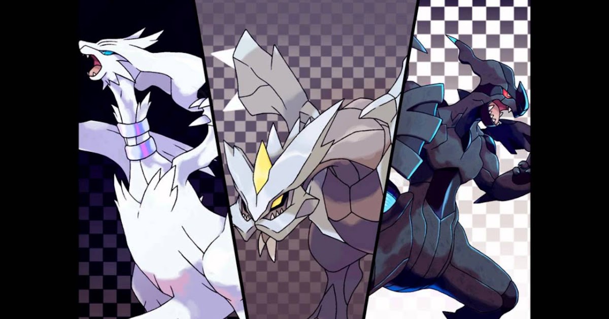 Reshiram, Zekrom & Kyurem - Pokemon