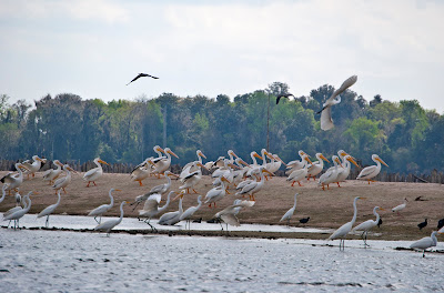 Old Florida: Holy water, sacred ground