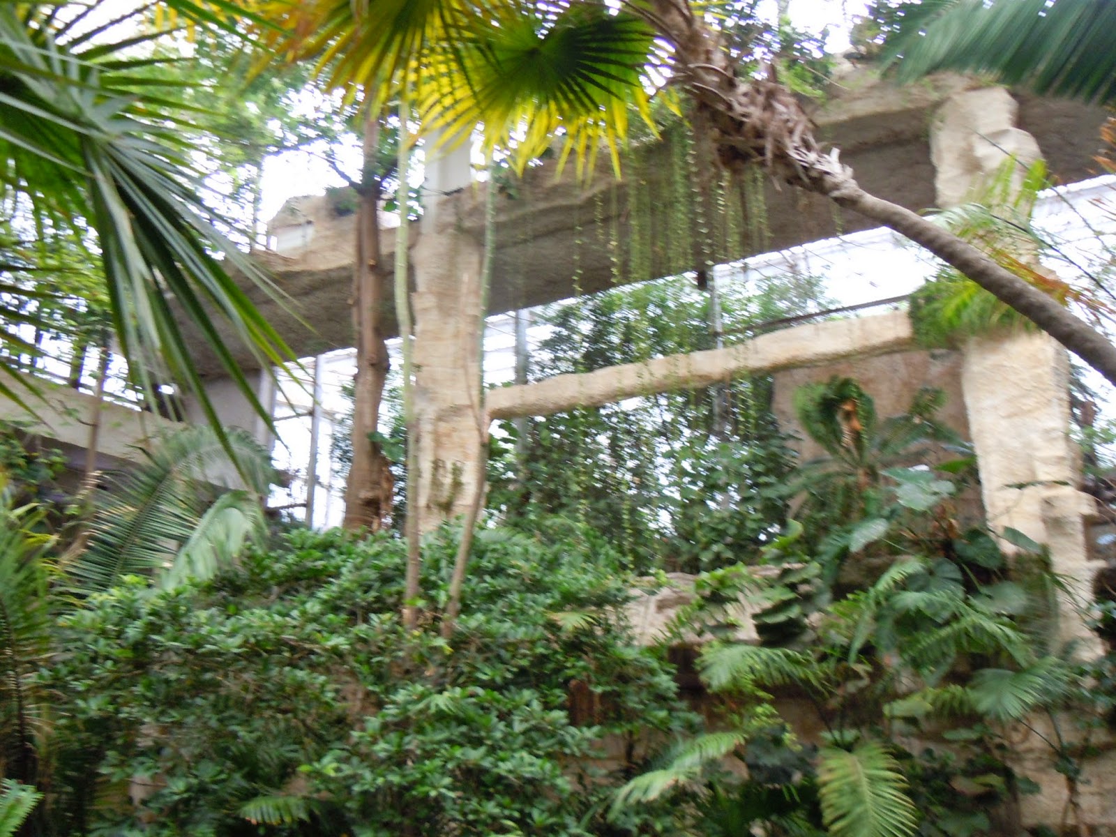 Joanna's Design TRAVEL Dallas World Aquarium review