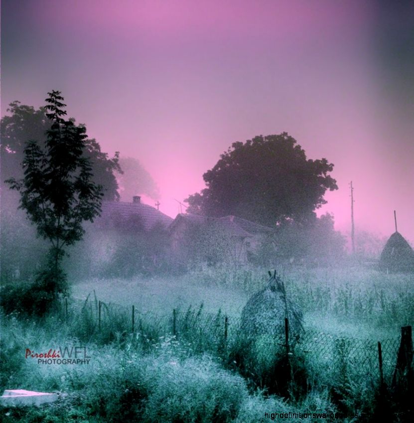 Beautiful Morning Mist Creative Photography Wallpaper