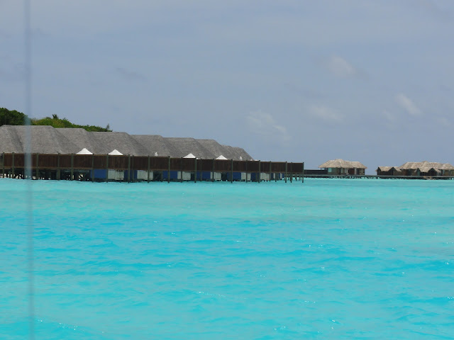 MALDİVLER, RANGALI ISLAND, CONRAD MALDIVES, MALDİVLERDE BALAYI, RÜYA TATİL, CENNET, yurtdışı, gezi, nereye gidelim, maldivler, maldives, balayı, deniz uçağı, mercanlar, ithaa restoran, dalış, balina, şnorkelling, seçim, ne yesek, katar, köpekbalığı