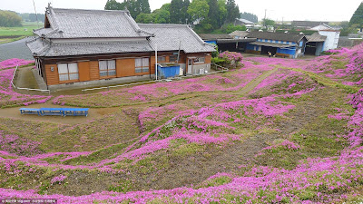 Jardín japonés.