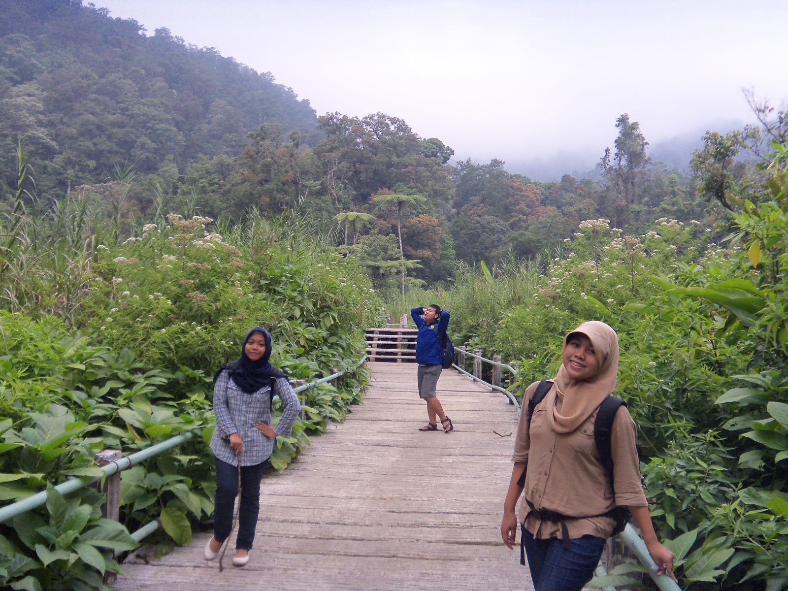 Pemandangan di Kebun Raya Cibodas