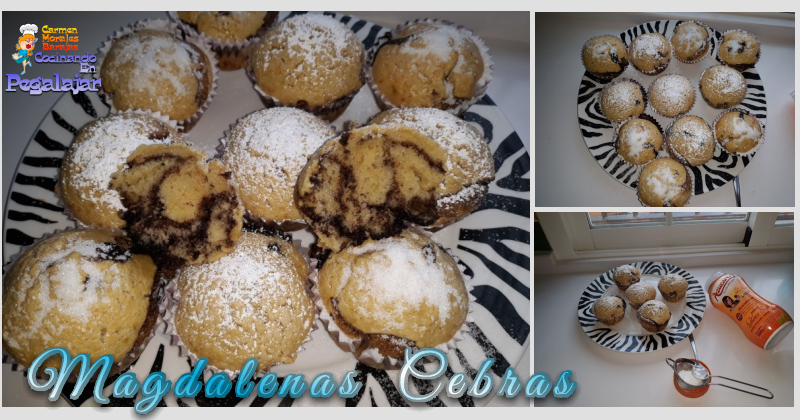 Magdalenas Cebras chco