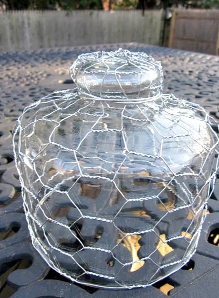 Glass cloche wrapped with chicken wire