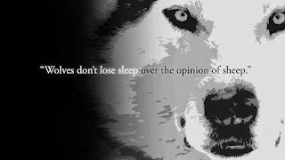 Wolves eat sheep(le) don't they?