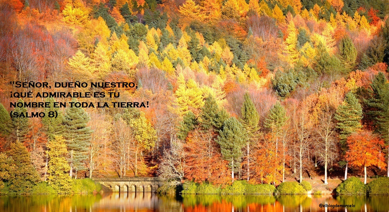 El Blog de Marcelo: ¡Regalo!: 20 paisajes de otoño, 20 frases de los salmos