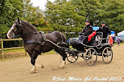 Le Haras de Lamballe est le lieu par excellence de l'élevage de chevaux . (cheval breton)