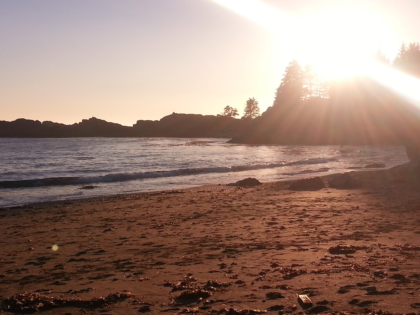 Vancouver Island's Best Seaside Campgrounds Play Outside Guide