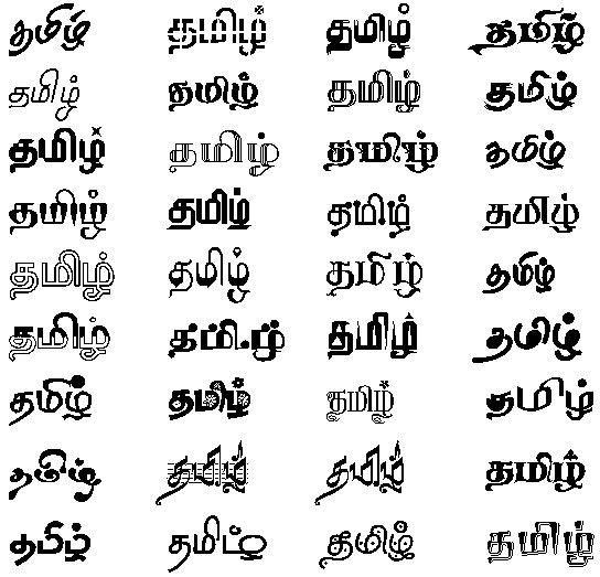 tamil font converter software