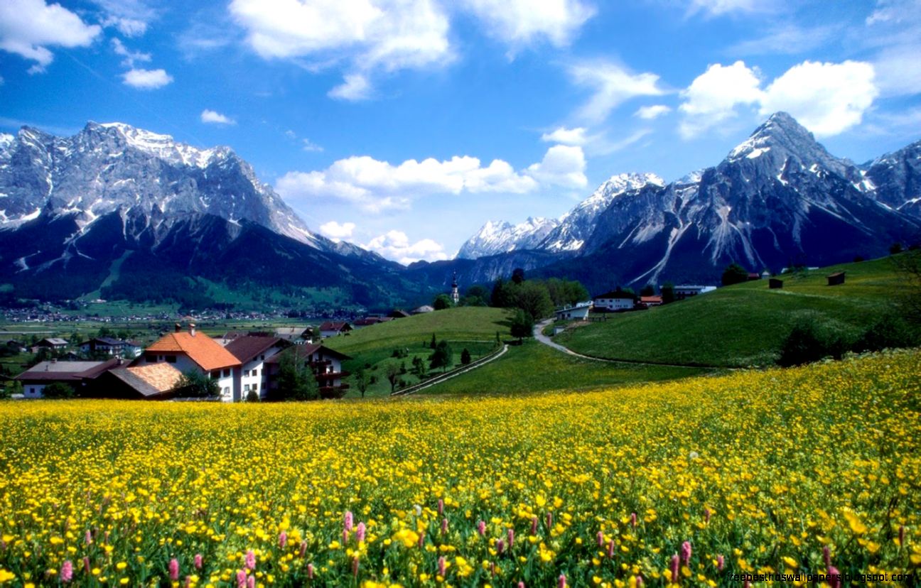 Landscape Photography Hd Background Wallpaper 38