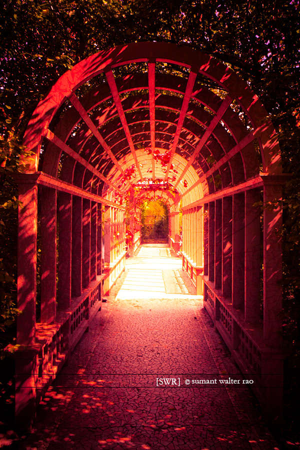 Sumant Walter Rao Photography: The Pearly Gates