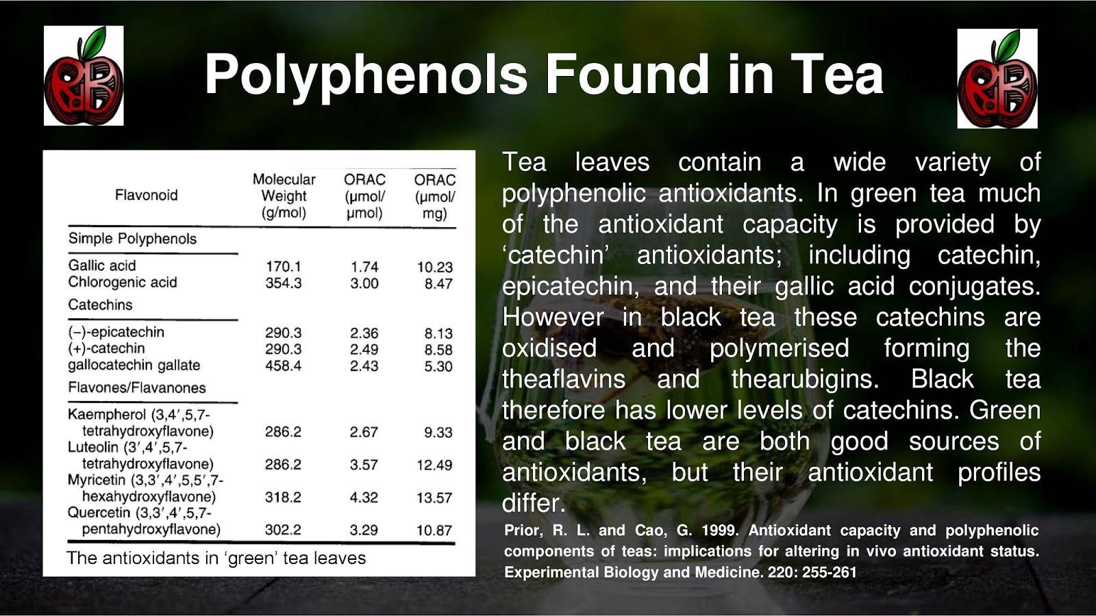 Polyphenols Found in Tea