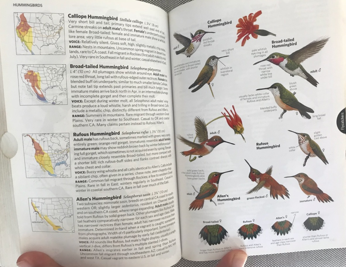 National Geographic Field Guide to the Birds of Eastern North America 