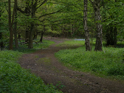 atmospheric effect blur before photoshop editing tutorials