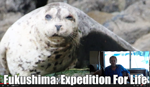 Fukushima Expedition