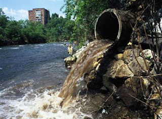 EL SER HUMANO Y LOS ECOSISTEMAS ACUÁTICO