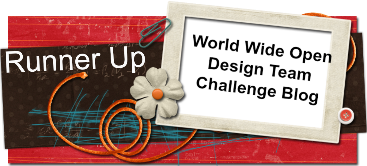 World Wide Open DT challenge Blog