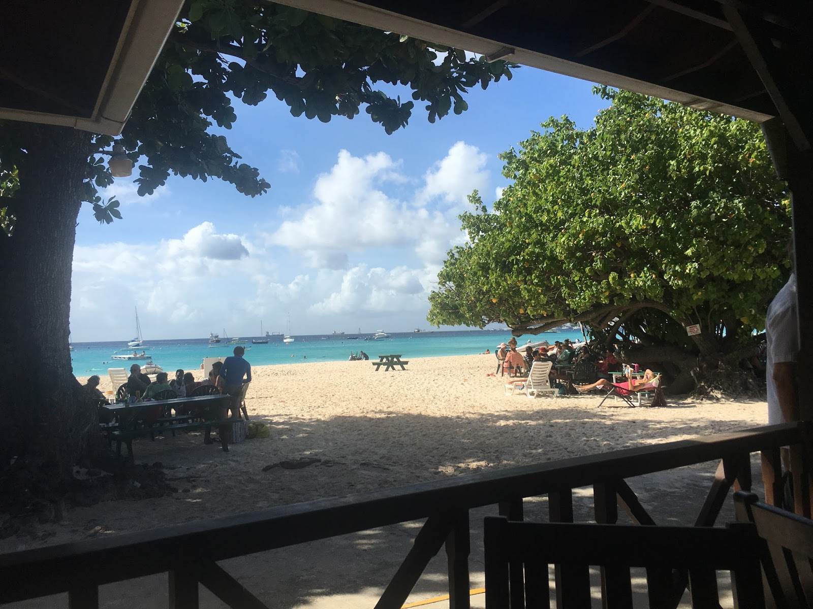 Askari Sailing Christmas in Barbados