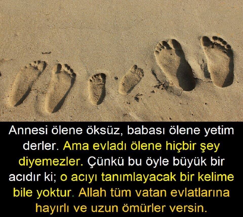 DENİZ TİC. Sebze Meyve Hali No36/37 SAKARYA