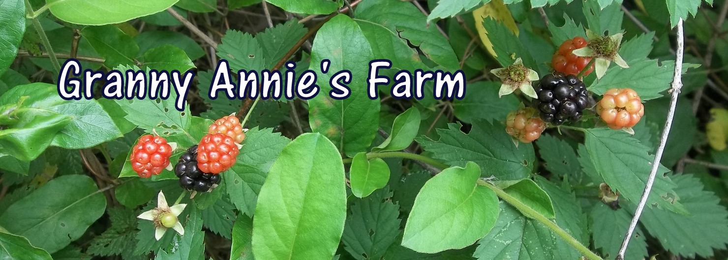Granny Annie's Farm™