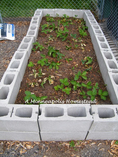 Dreaming Of Concrete Blocks Raised Beds Planters Tables And
