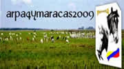 arpa4ymaracas2009