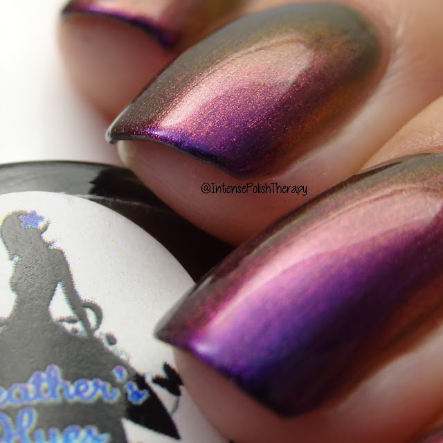 Heather's Hues - Dazzle Heather's Hues - Dazzle
