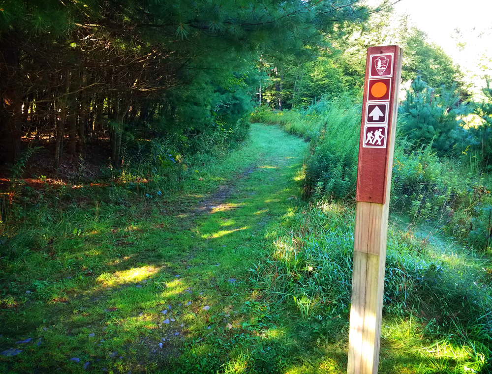 Hiking Trails in NJ and PA Hiking the Cliff Trail to the Hackers Falls