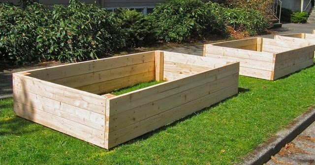 Seattle Garden Ideas: Save Your Back With Raised Beds