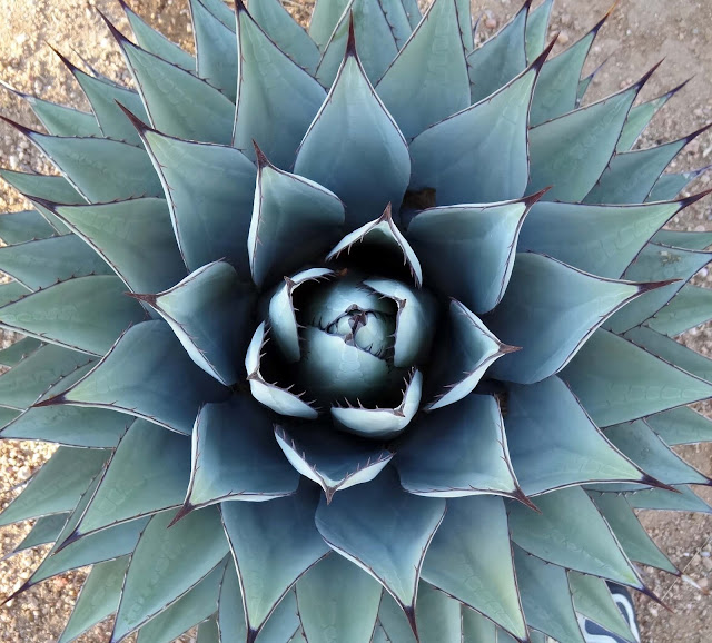 Joe�s Retirement Blog Different Sights, Albuquerque, New Joe�s Retirement Blog Different Sights, Albuquerque, New