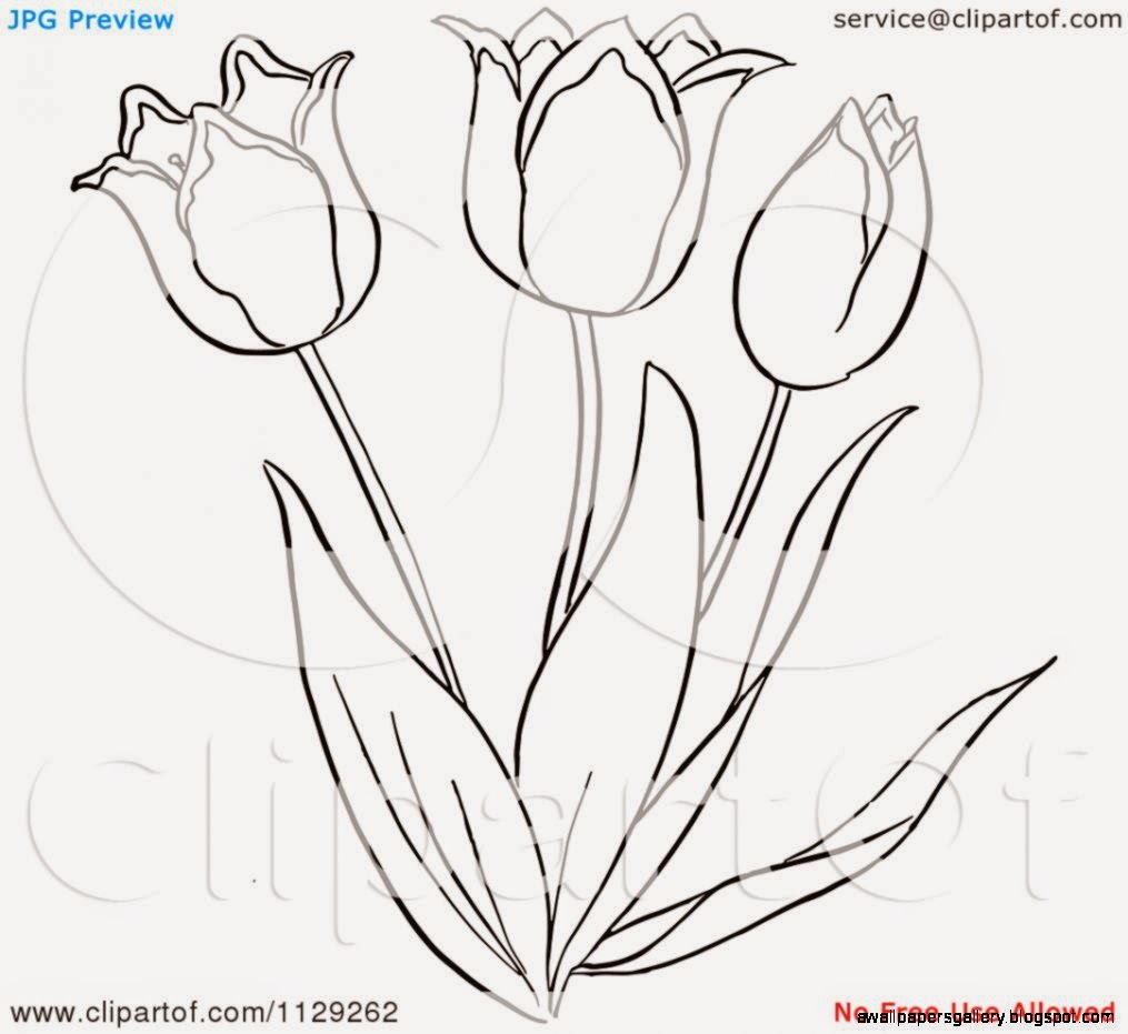 tulip clip art free black and white - photo #28