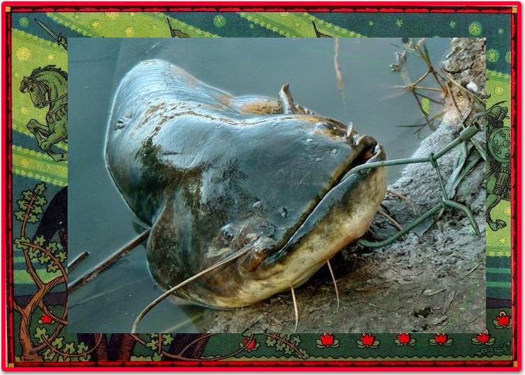 § Ö R E G H A R C S A: augusztus 2016