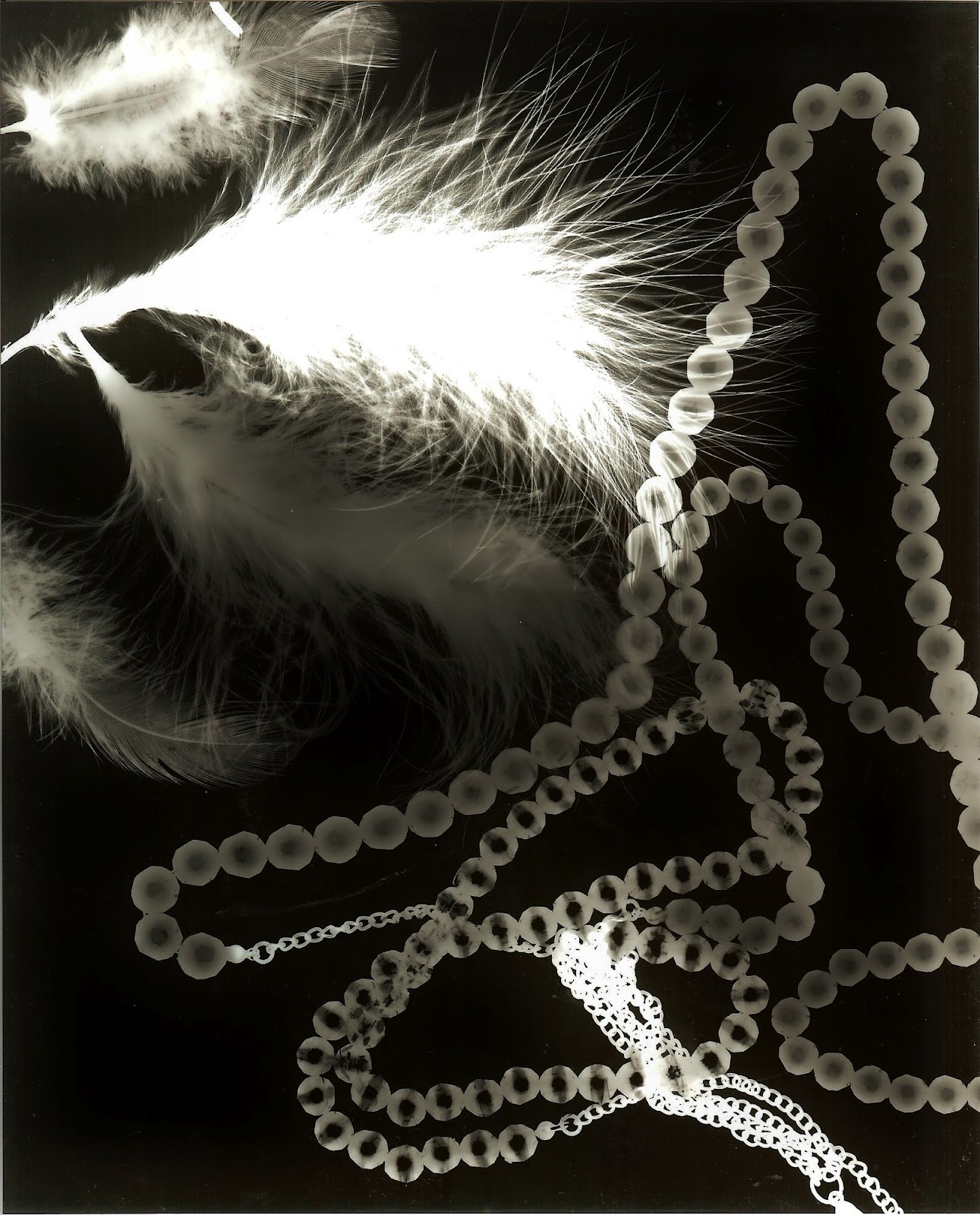 Life of Mine: Photograms