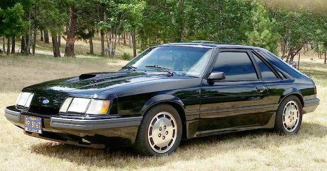 Daily Turismo: Seller Submission: 1986 Ford Mustang SVO