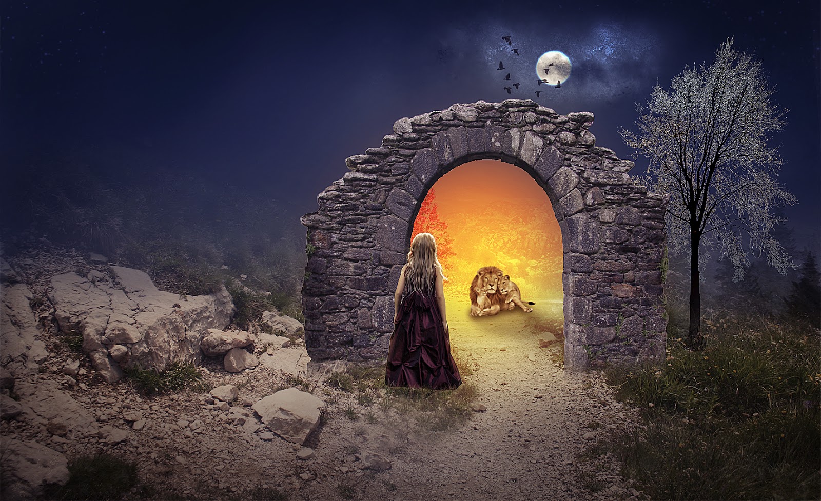 adobe photography adobe photography