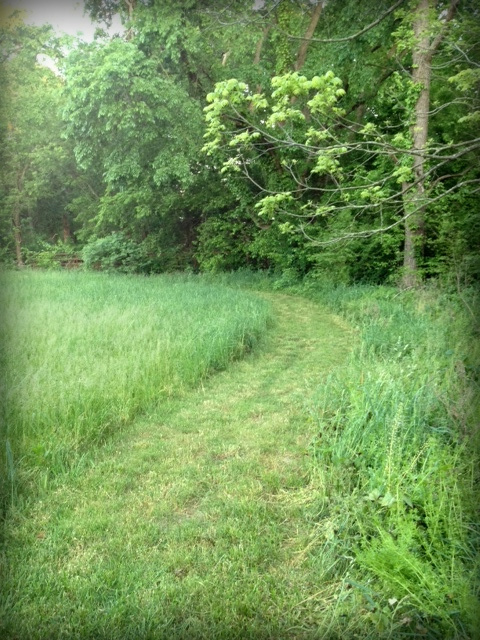 Walking path