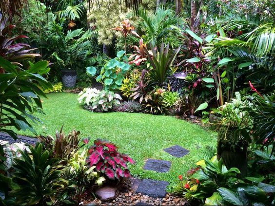Moon to Moon: Small Jungle Style Gardens