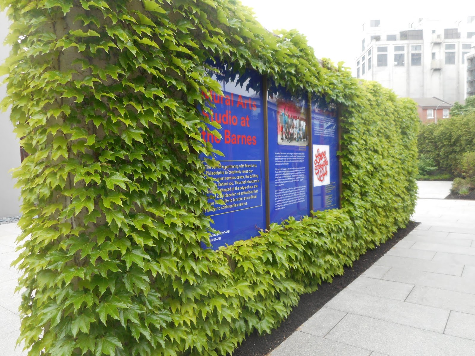 The Mystic Artist The Barnes And The Art Of The Steal