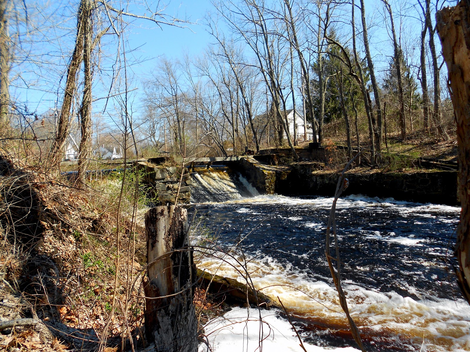 Breakheart Trail Running Bay Circuit Trail Hike Report Reynolds