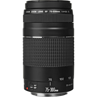 Canon EF-S 18-55 Lens Review